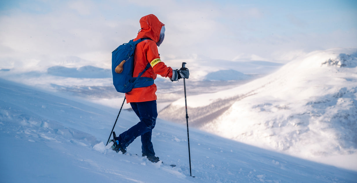The Arctic Adventure