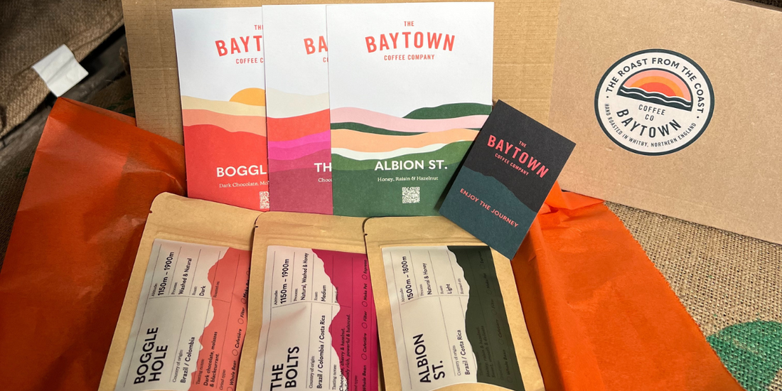 Baytown Discovery Packs — Three Coffees, One Little Box