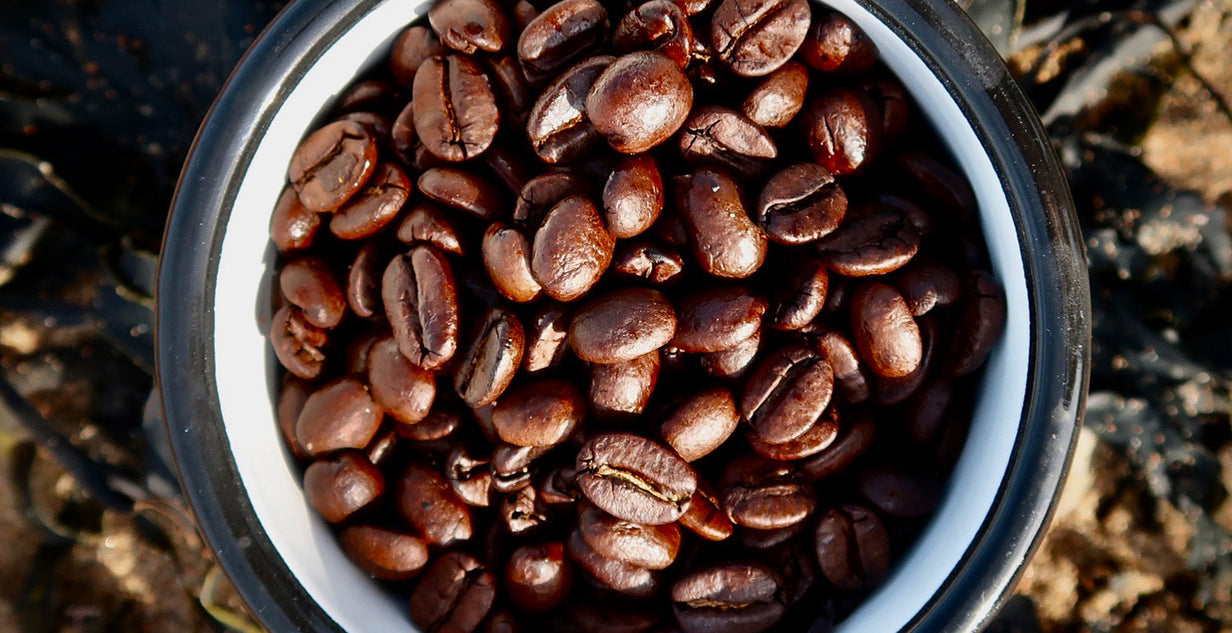Let’s talk about Dark Roast Coffee!