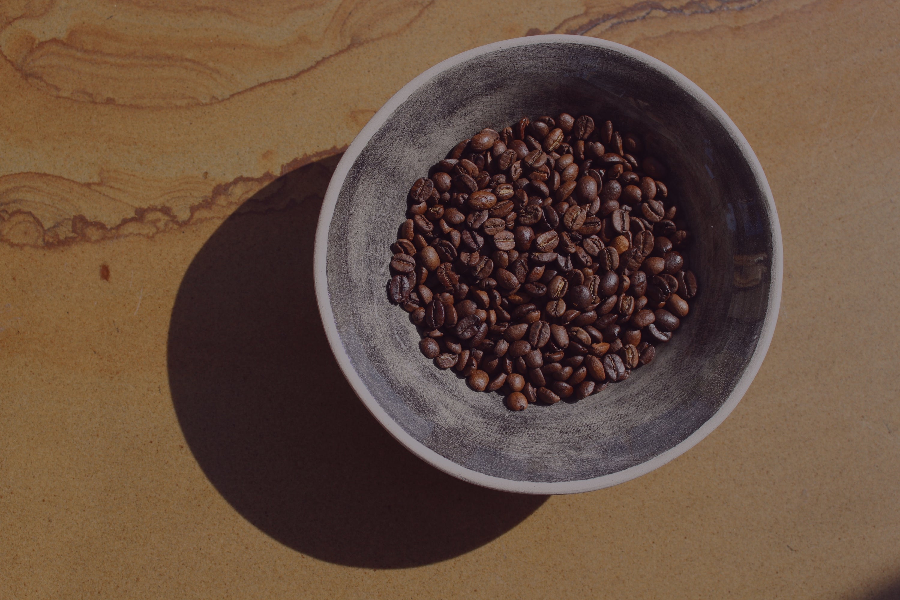 Unveiling the Perks Coffee and Gut Health Explained Baytown Coffee Company