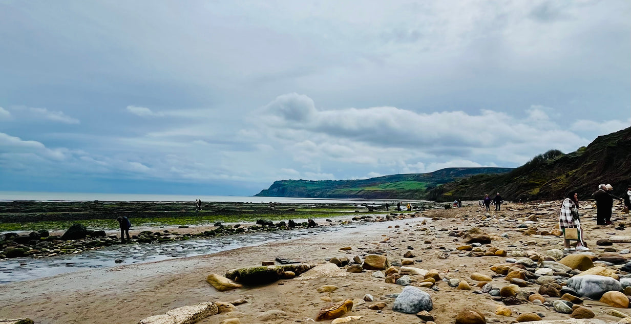 Baytown Beach Clean 2024 - Robin Hood's Bay beach