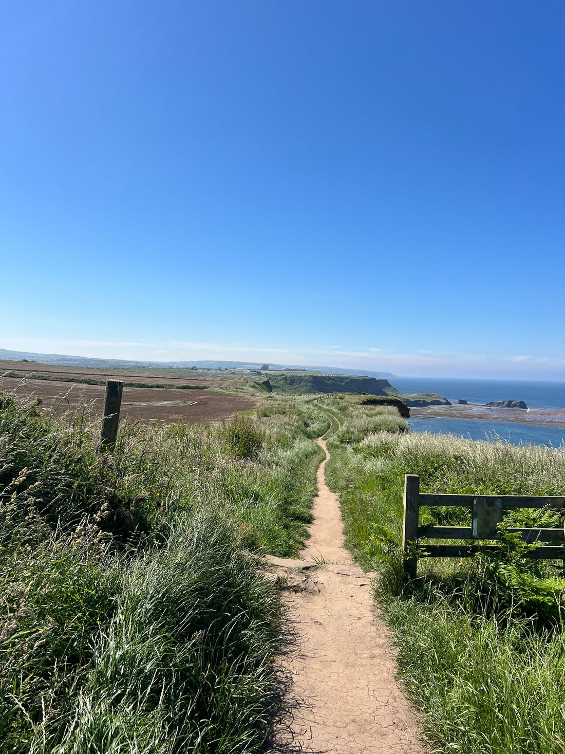 View back to Whitby Abbey from Cleveland Way coastal path