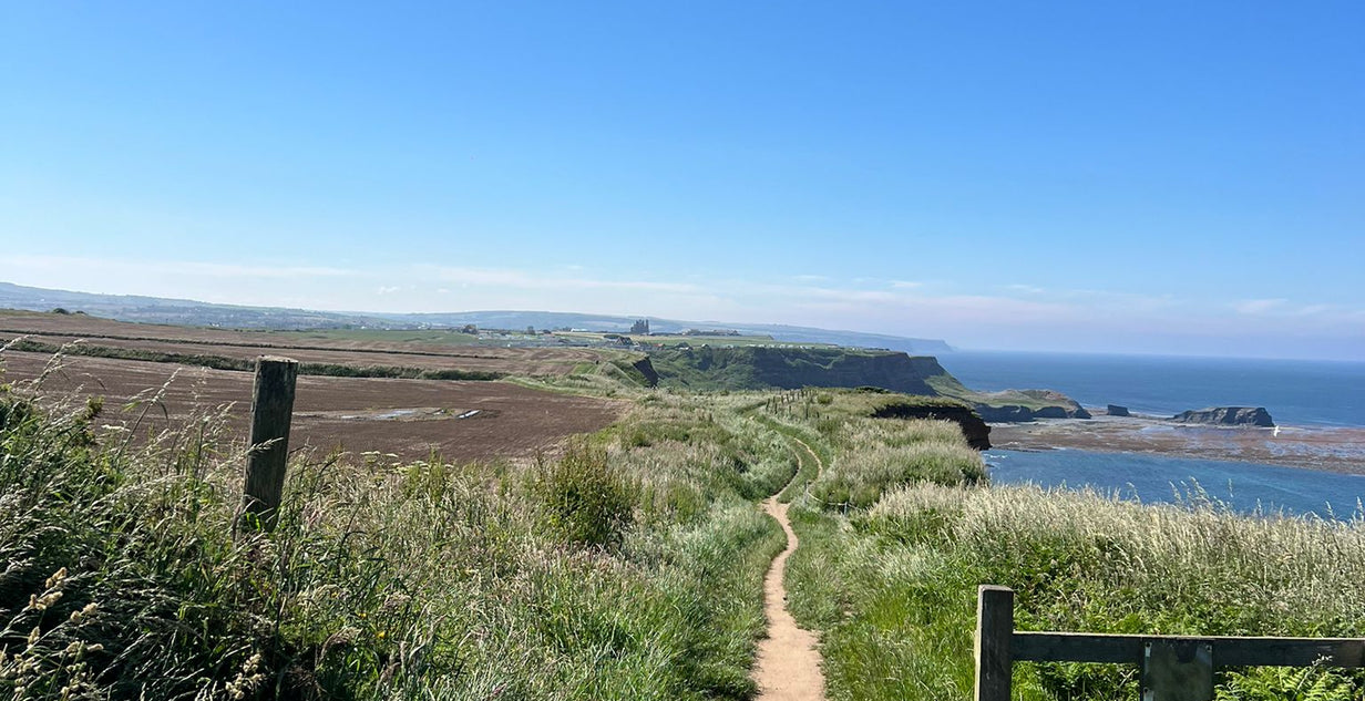 View back to Whitby Abbey from Cleveland Way coastal path