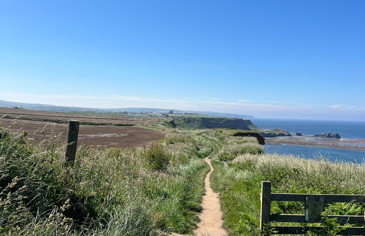 View back to Whitby Abbey from Cleveland Way coastal path