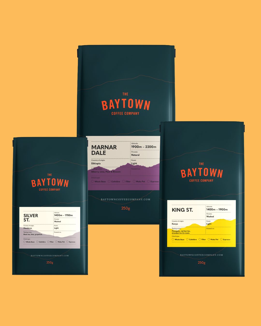 The Back Pack | Silver Street, Marnar Dale & King Street Coffee Bundle